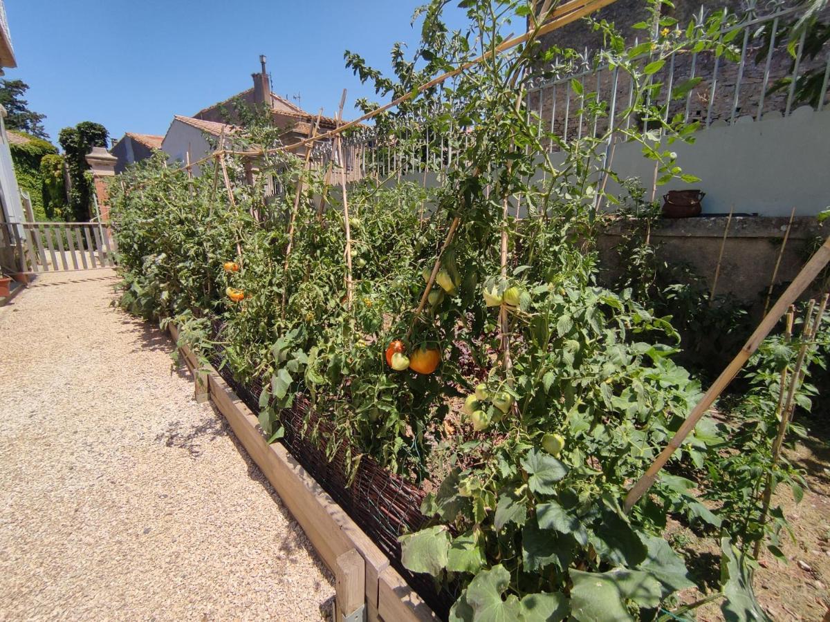 The Cottage, Clos Des Archers Aigues-Vives  Buitenkant foto